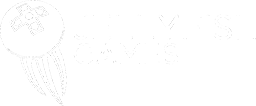 Jellyfish Games